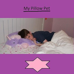 My Pillow Pet