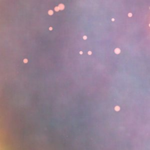 Dust