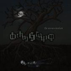 In The Ground 的头像