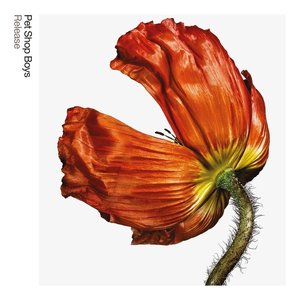 Release (Special Extended Edition)