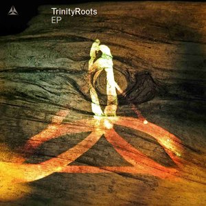 Trinity Roots