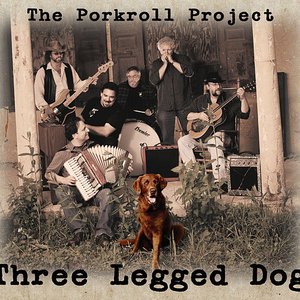 Three Legged Dog
