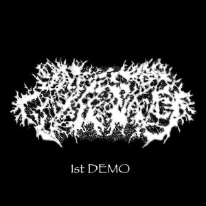 1st DEMO