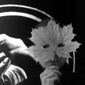 Darkwood photo provided by Last.fm