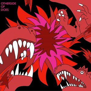OTHERSIDE OF DOES