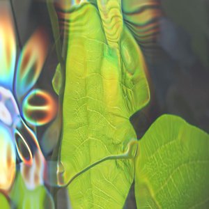 Inner Space Visitor 的头像