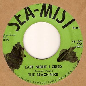 The Beach-Niks 的头像