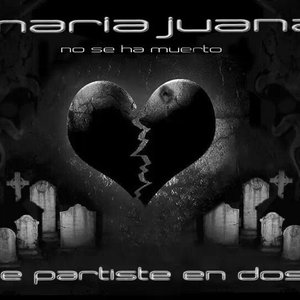 TE PARTISTE EN DOS