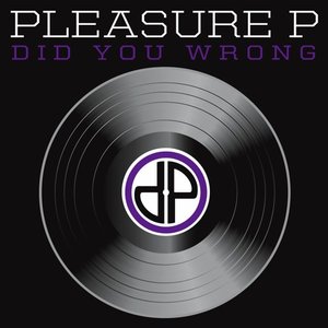 Did You Wrong - Single