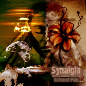 Synalgia 的头像