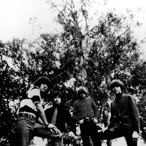 The Standells photo provided by Last.fm