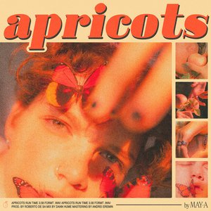 Apricots - Single