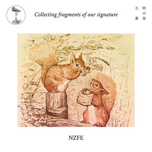 Collecting fragments of our signature