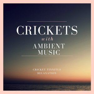 Crickets with Ambient Music