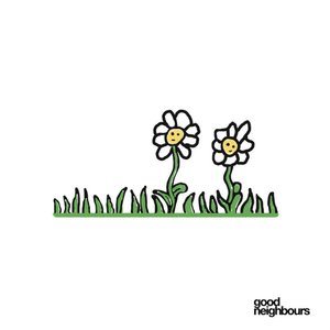 Daisies