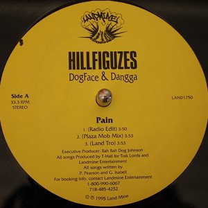 The Hillfiguzes のアバター