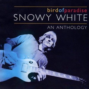 Bird of Paradise: An Anthology