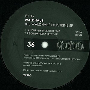 Image for 'The Waldhaus Doctrine E.P.'