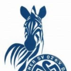 Avatar for MSV Duisburg