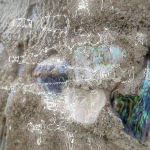 Dichotomy Echoes - Single