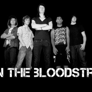 Ice In The Bloodstream 的头像