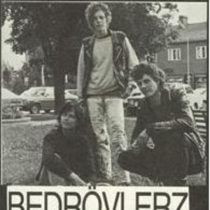 Bedrovlerz 的头像