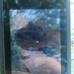 ...Spent the Last Few Years Living In a Fucking Cave - Single