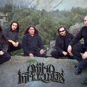 Anima Inmortalis 的头像