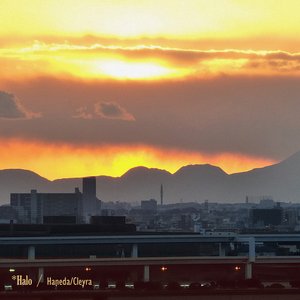 Haneda/Cleyra