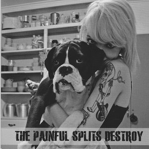 Max Bemis and The Painful Splits Destroy