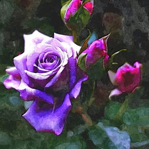 ༼༽ N T H R ༼༽ X 的头像