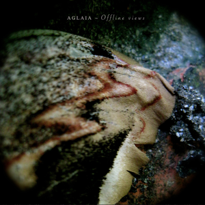 Offline Views cover