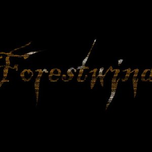 Forestwind 的头像