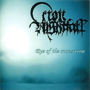 “Eye Of The Snowstorm”的封面