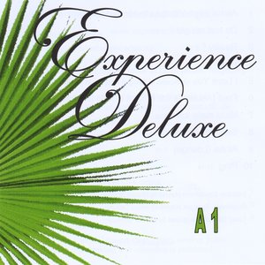 A1