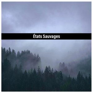 Etats Sauvages