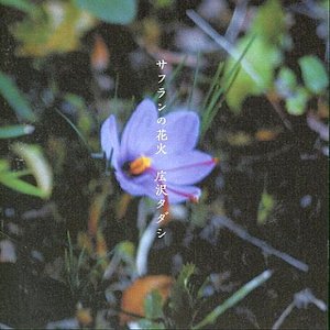 サフランの花火