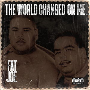 Fat Joe - The World Changed On Me - Zortam Music