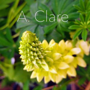 Avatar for A. Clare