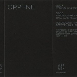 Orphne