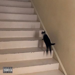 Myo (Cat) - Single