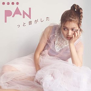 PANっと音がした