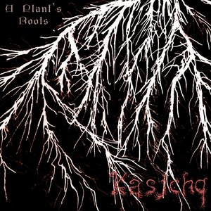 A Plant's Roots