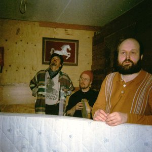 Metsäheikki 的头像