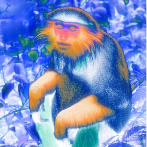 UrMother 的头像
