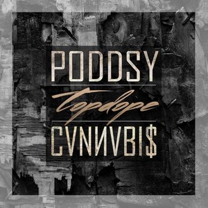 Poddsy 的头像