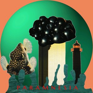 Paramnesia