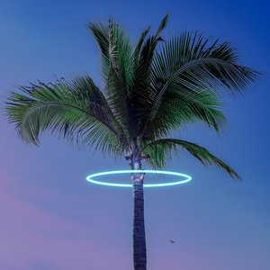 Paradise