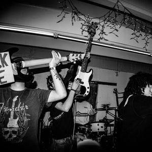 Avatar for mypetspider