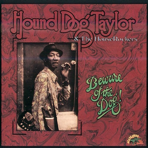 Hound Dog Taylor & The HouseRockers - ALLIGATOR - 20TH ANNIVERSARY COLLECTION - Zortam Music